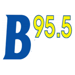WYJB B95.5 Albany, New York — The United States Of America logo