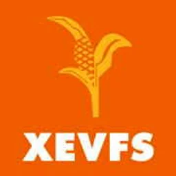 XEVFS-AM La Voz de la Frontera Sur — Mexico לוגו