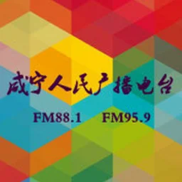 咸宁综合广播 — China logo