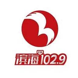盐城滨海广播 — China logo