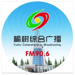 榆树综合广播 — China logo
