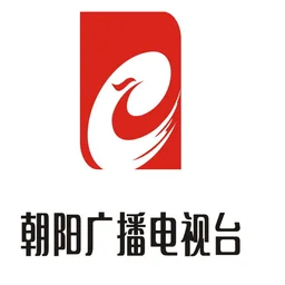 朝阳经济广播 AM648 — China logo